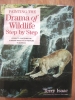 Painting the Drama of Wildlife Step by Step by Terry Isaac $14.95