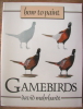 How to Paint Gamebirds by David Mohrhardt $9.95