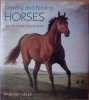 Drawing and Painting Horses, the Art of the Equine Form by Barbara Oelke $14.95