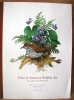 Value in American Wildlife Art - Roger Tory Peterson Institue of Natural History Forum of 1992 $9.95