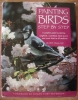 Painting Birds Step by Step by Bart Rulon $14.95