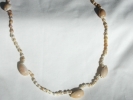 Endless Cowrie Shell Fashion Station Necklace $9.95
