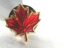 Autumn Leaf Pin $4.98