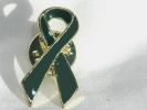 Green Ribbon Awareness Pin $4.98